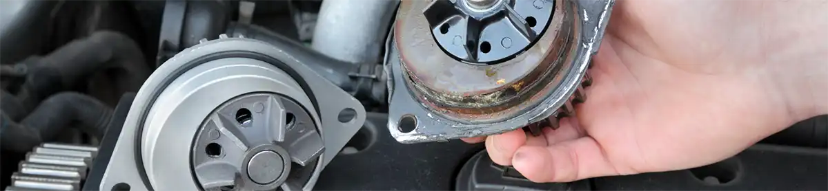 Wilton Historic District Los Angeles Auto Repair Water Pump Replacement